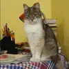Отзыв от Екатерина Семина